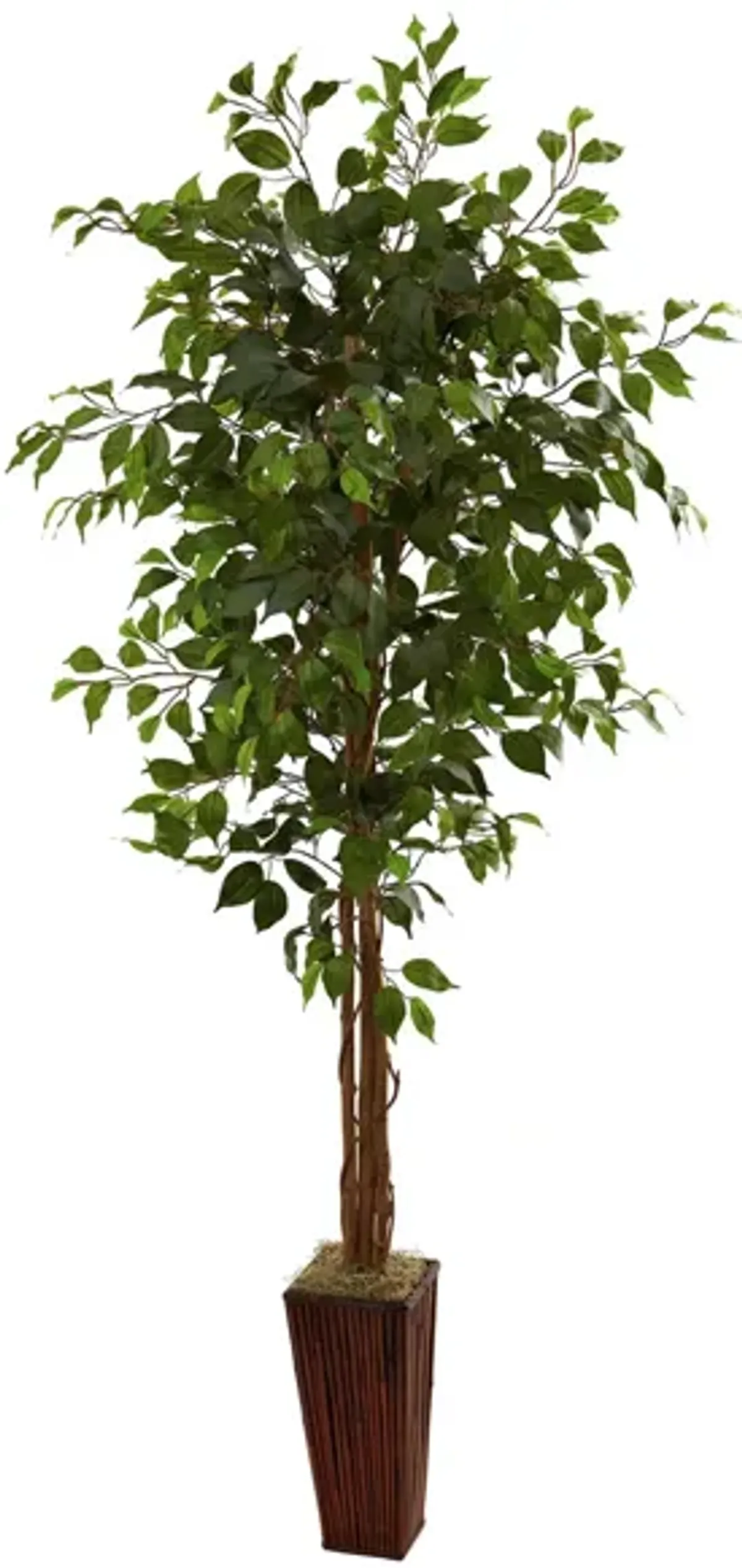 Ficus Artificial Tree