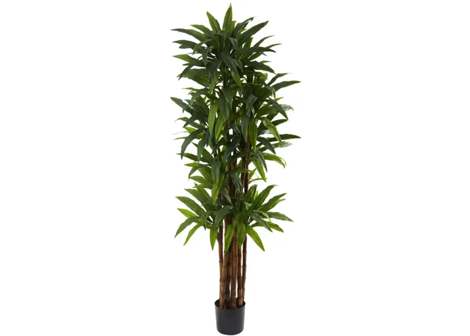 Dracaena Artificial Tree in Green by Bellanest