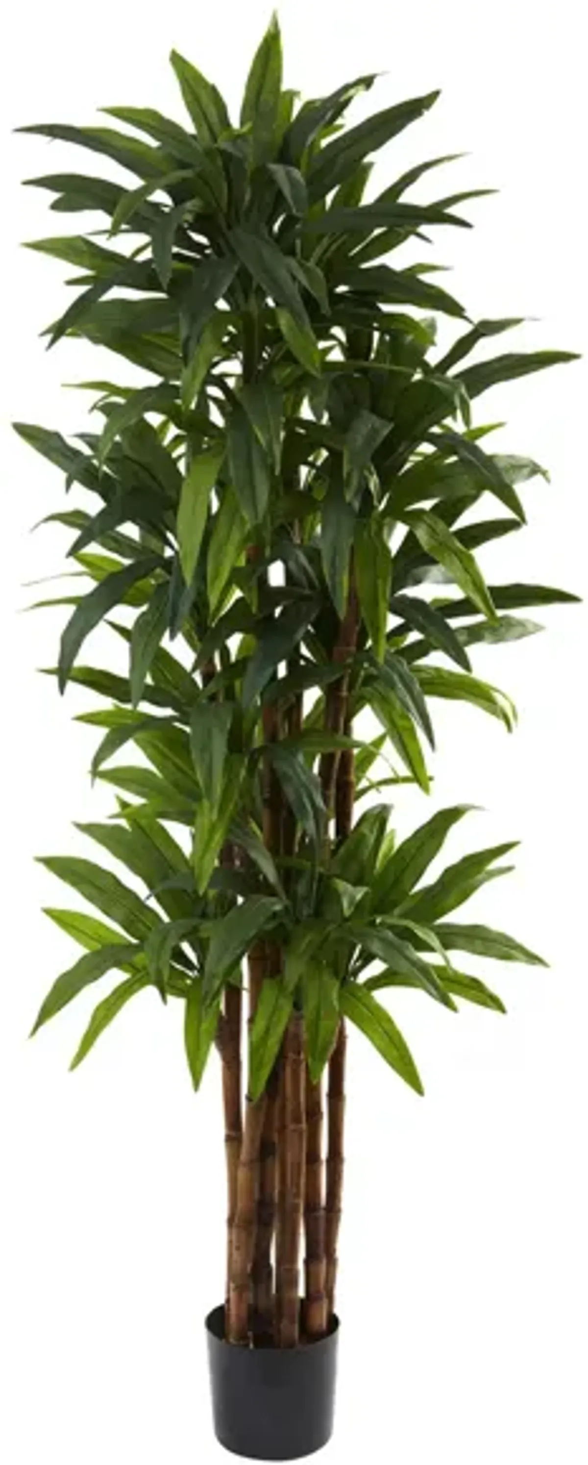 Dracaena Artificial Tree in Green by Bellanest