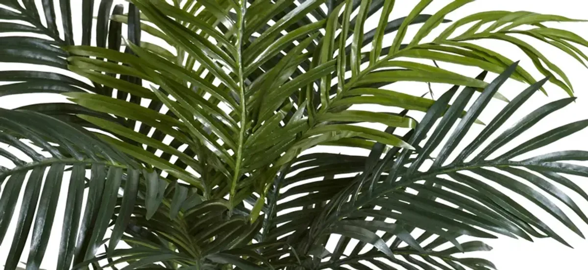 Golden Cane Artificial Palm