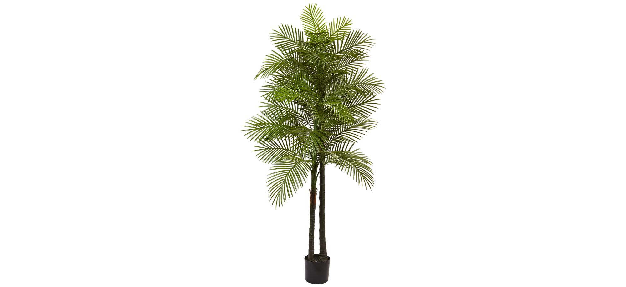 Double Robellini Palm Artificial Tree (Indoor/Outdoor) in Green by Bellanest
