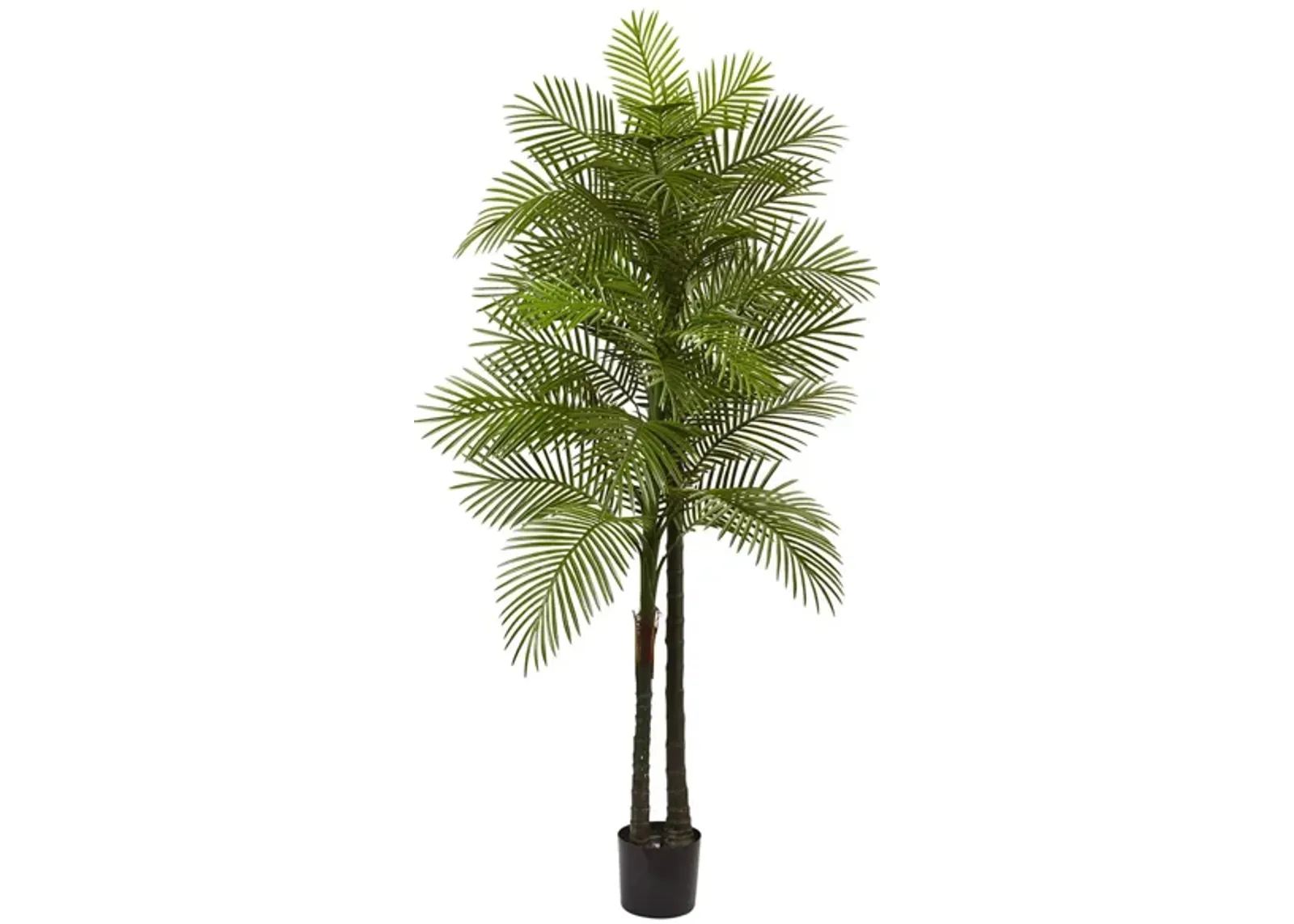 Double Robellini Palm Artificial Tree (Indoor/Outdoor) in Green by Bellanest