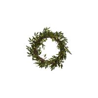 Olive Artificial Wreath in Green by Bellanest