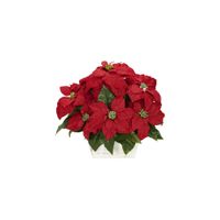 Poinsettia Artificial Arrangement in Red by Bellanest