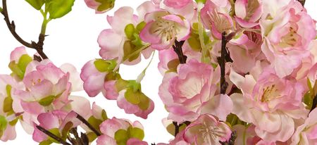 Cherry Blossom in Large Vase in Pink by Bellanest