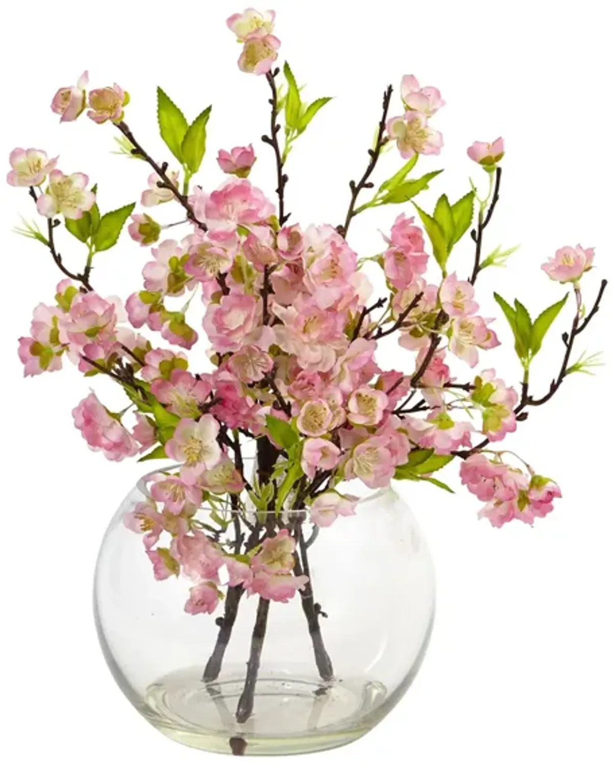 Cherry Blossom in Large Vase