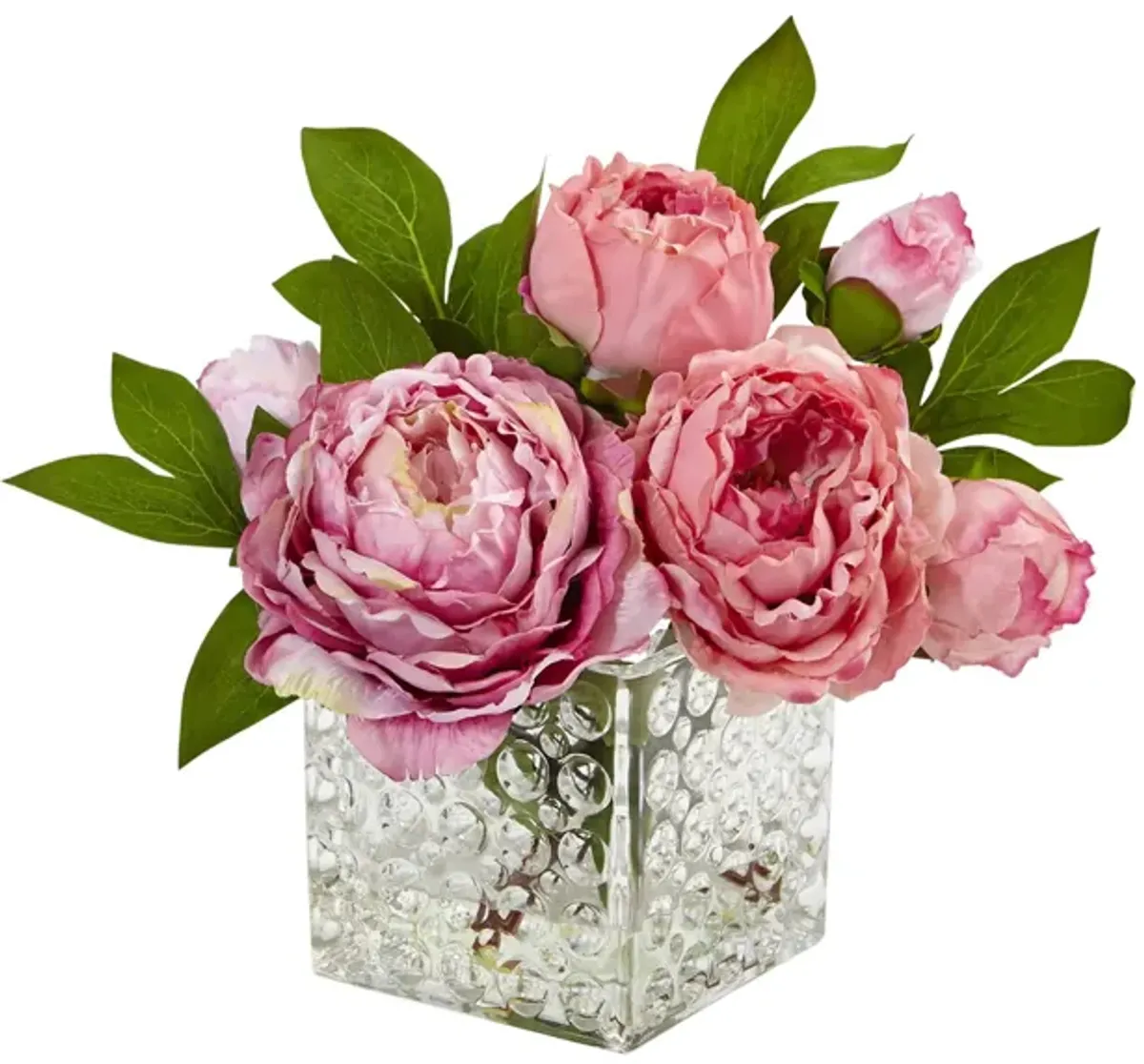 Peony in Glass Vase