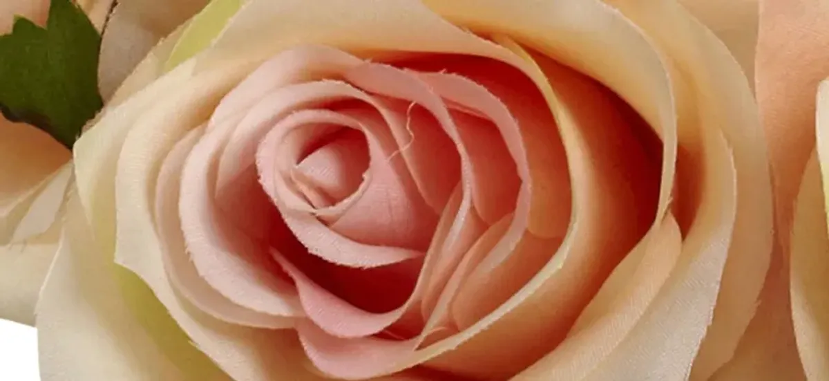 Peach Rose Arrangement with Vase