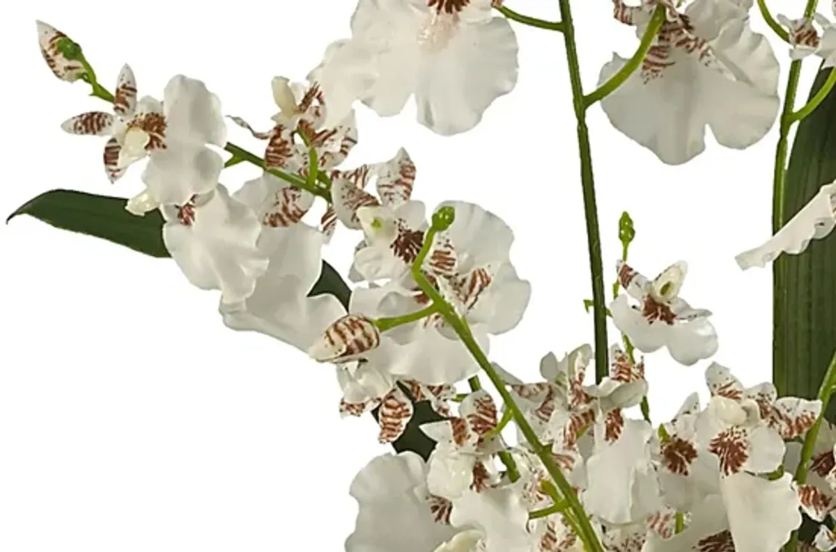 Dancing Lady Orchid Liquid Illusion Silk Flower Arrangement