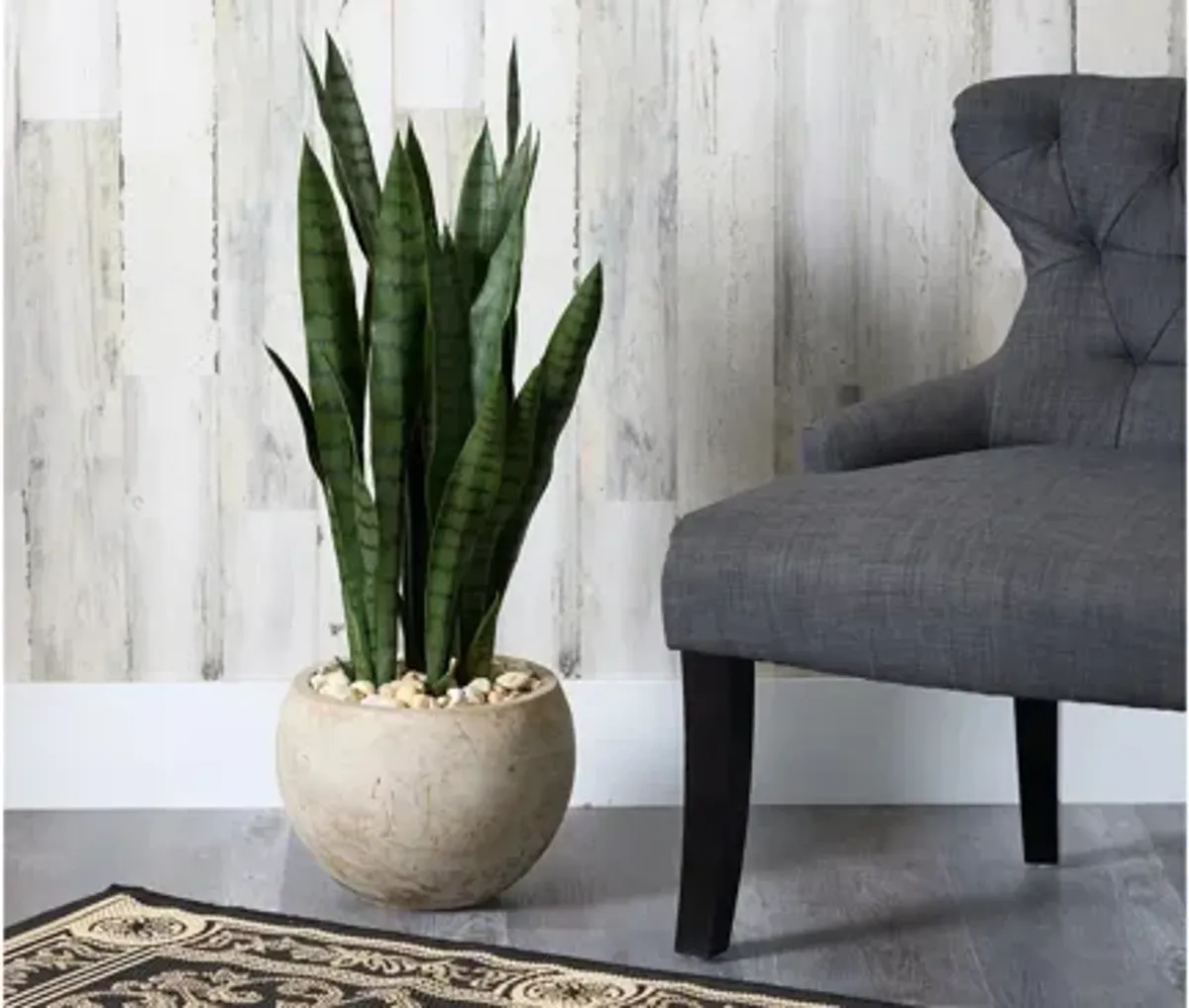 Sansevieria Artificial Plant in Sand Colored Planter
