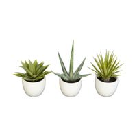 Southwest Collection: Set of 3 in Green by Bellanest