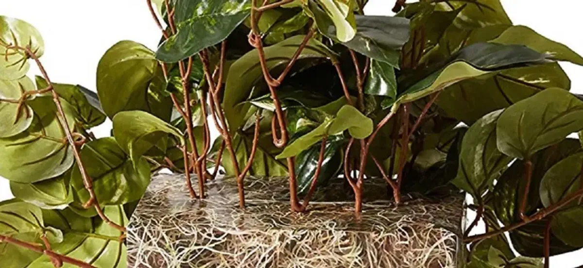 Pothos Ledge Plant (Set on Foam) Silk Plant