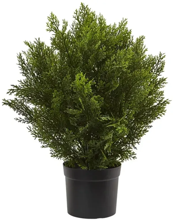 Cedar Artificial Bush (Indoor/Outdoor)