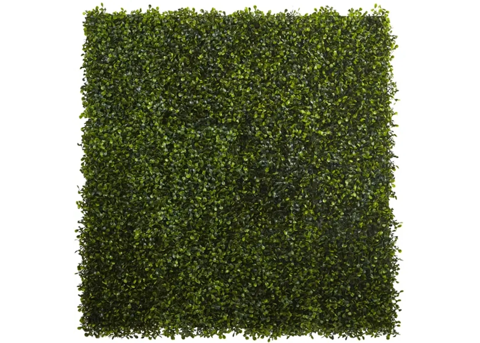 Boxwood Mat: Set of 12 in Green by Bellanest