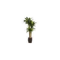 Cornstalk Dracaena Silk Plant with Vase in Green by Bellanest