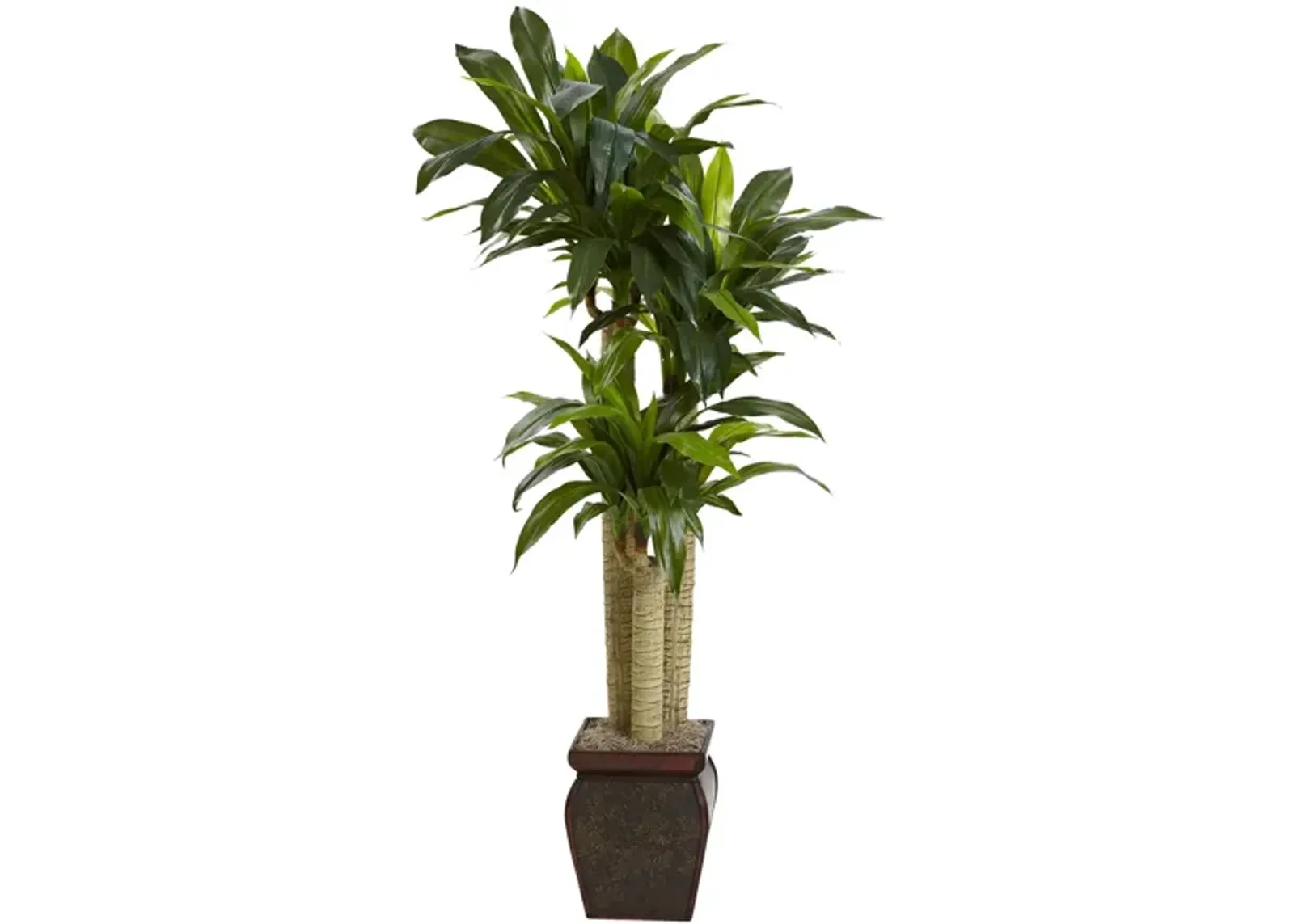 Cornstalk Dracaena Silk Plant with Vase in Green by Bellanest