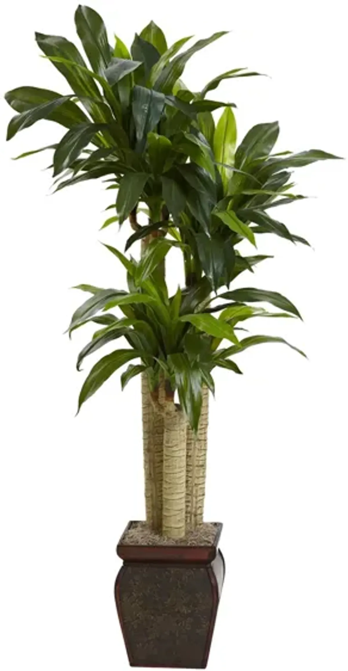 Cornstalk Dracaena Silk Plant with Vase in Green by Bellanest