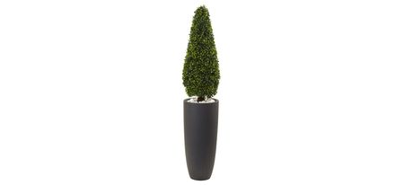 Boxwood Topiary with Gray Cylindrical Planter UV Resistant (Indoor/Outdoor) in Green by Bellanest
