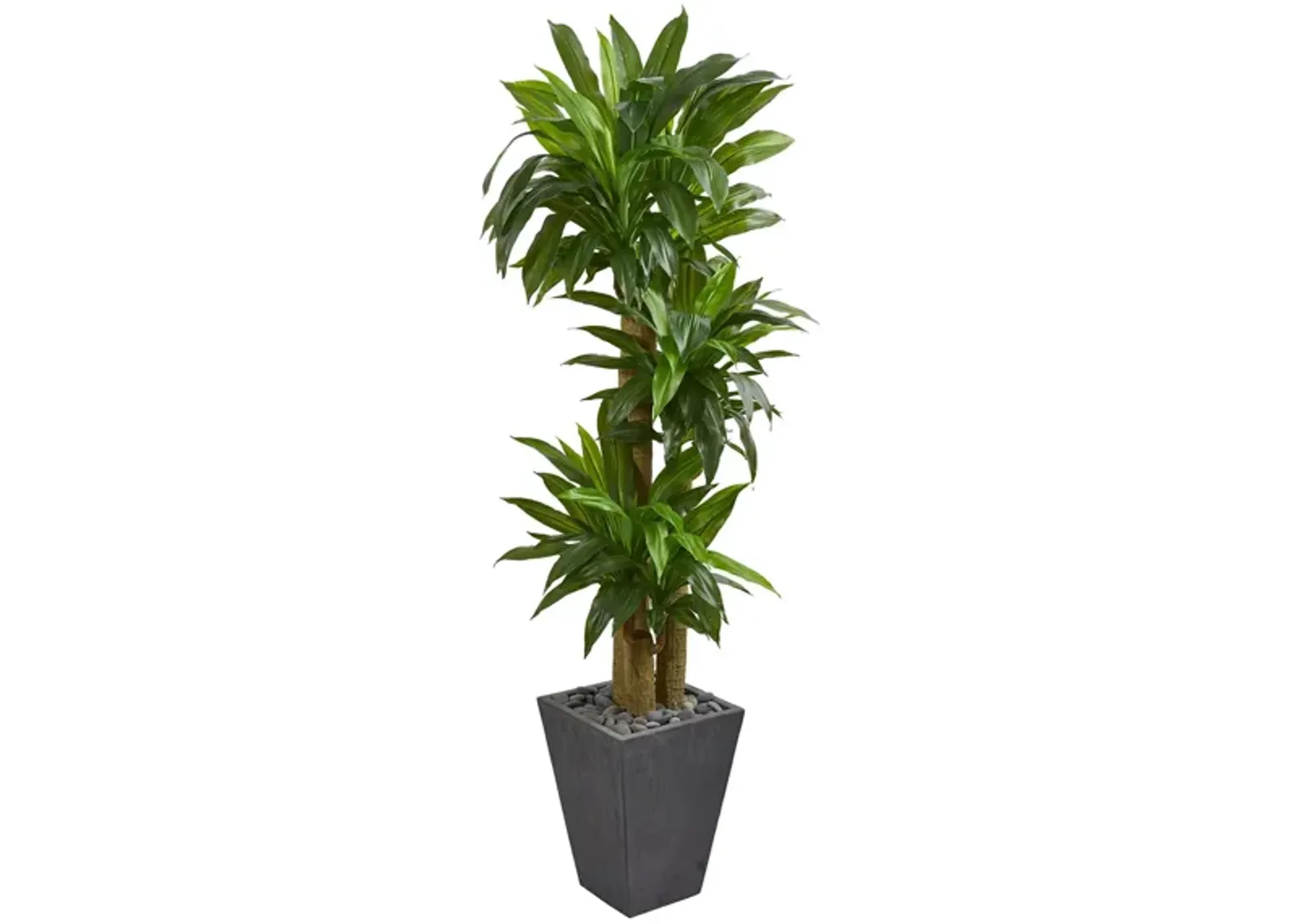 Cornstalk Dracaena Artificial Plant in Slate Planter in Green by Bellanest