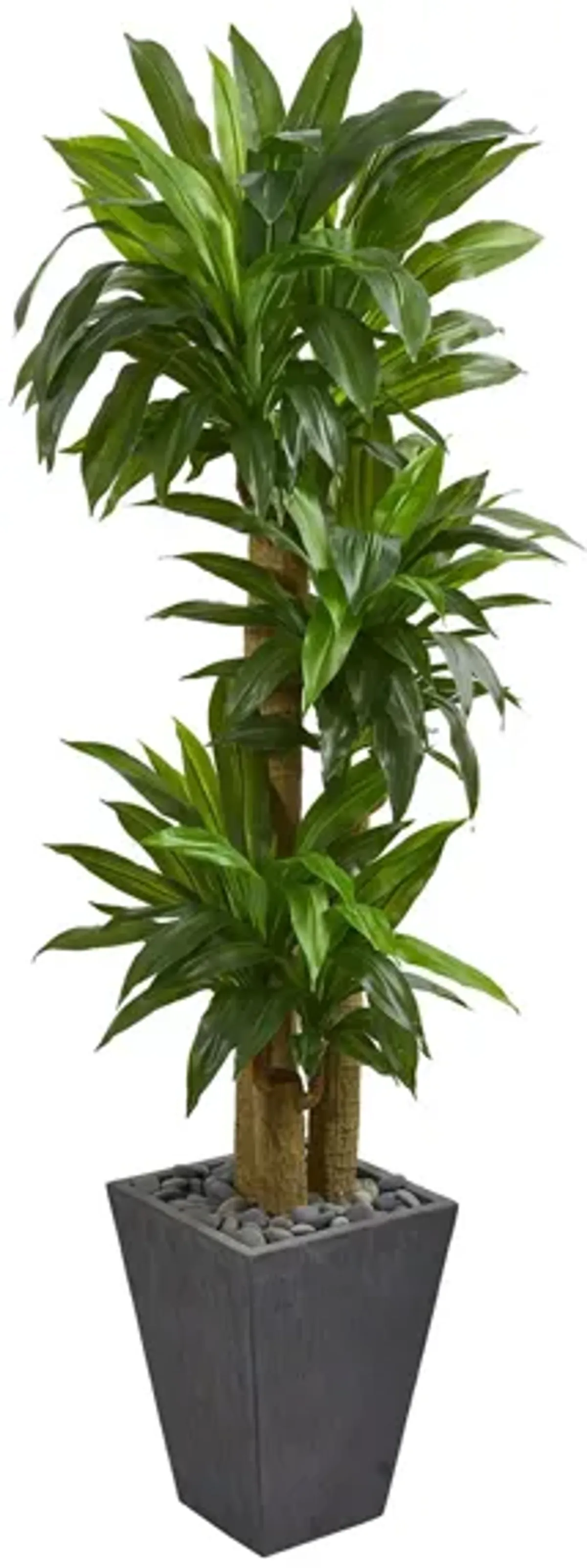 Cornstalk Dracaena Artificial Plant in Slate Planter in Green by Bellanest