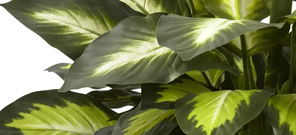 Triple Golden Dieffenbachia with Wood Vase