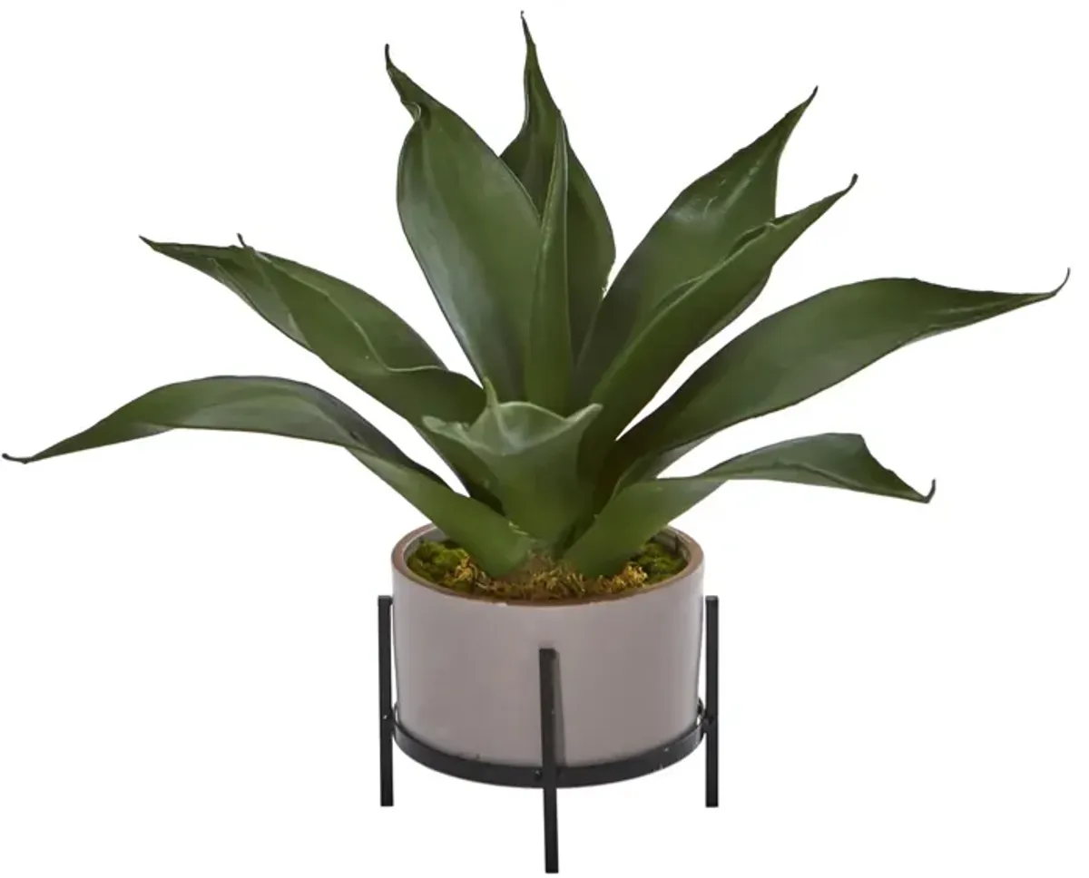 Agave Succulent in Decorative Planter in Green by Bellanest