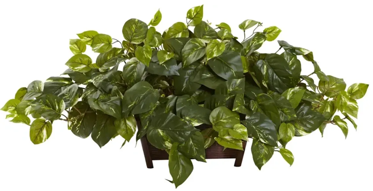 Pothos with Rectangle Decorative Planter in Green by Bellanest