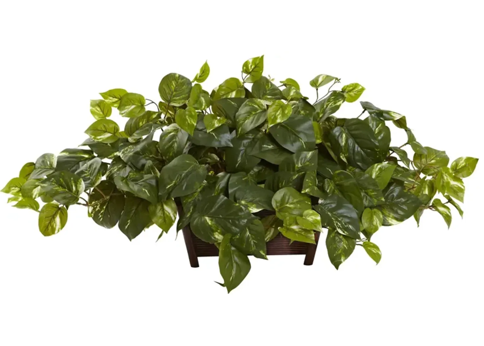 Pothos with Rectangle Decorative Planter in Green by Bellanest