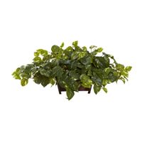 Pothos with Rectangle Decorative Planter in Green by Bellanest