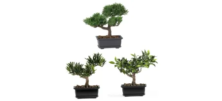 Bonsai Silk Plant Collection: Set of 3 in Green by Bellanest