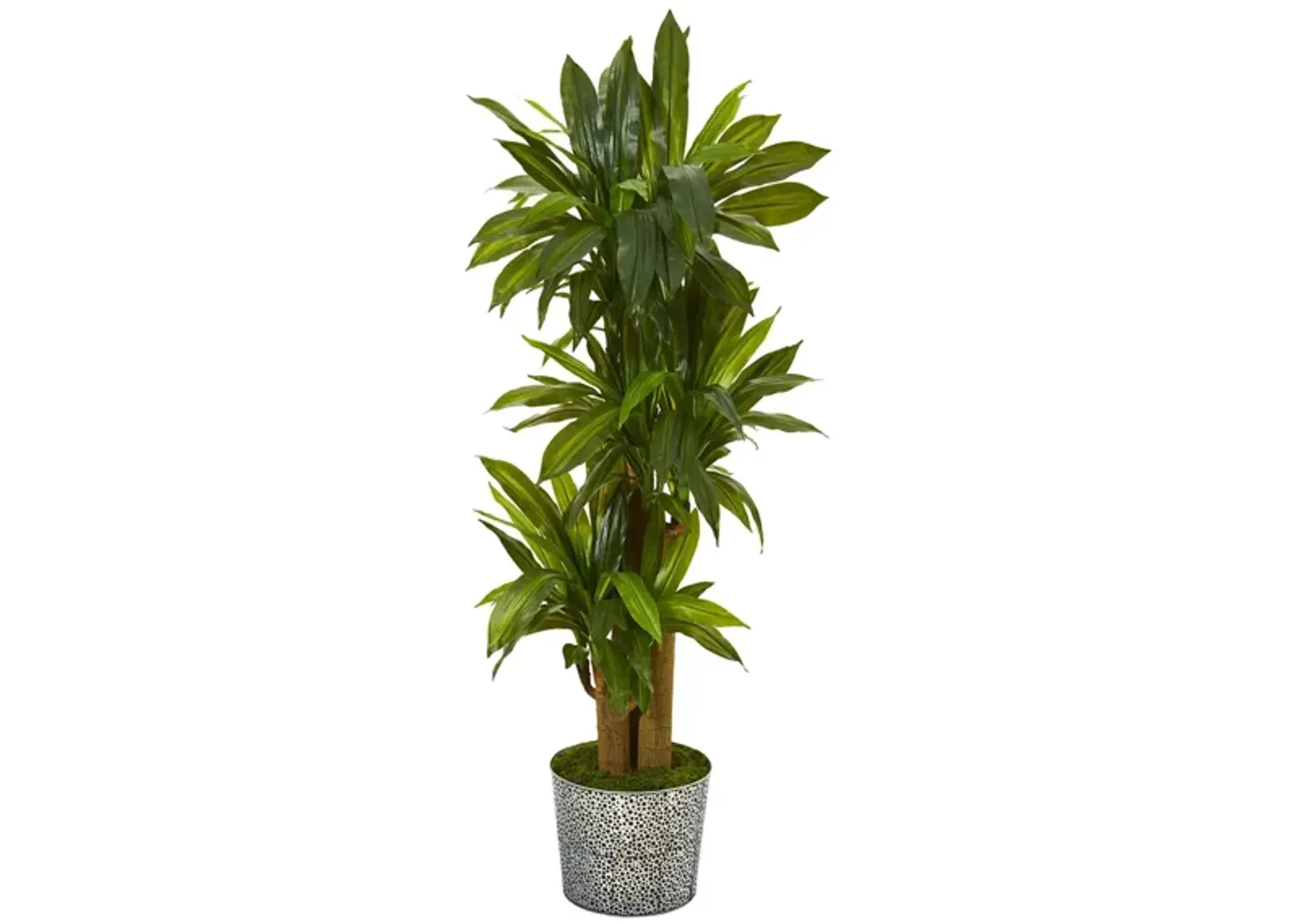 Corn Stalk Dracaena Artificial Plant in Black Embossed Tin Planter in Green by Bellanest