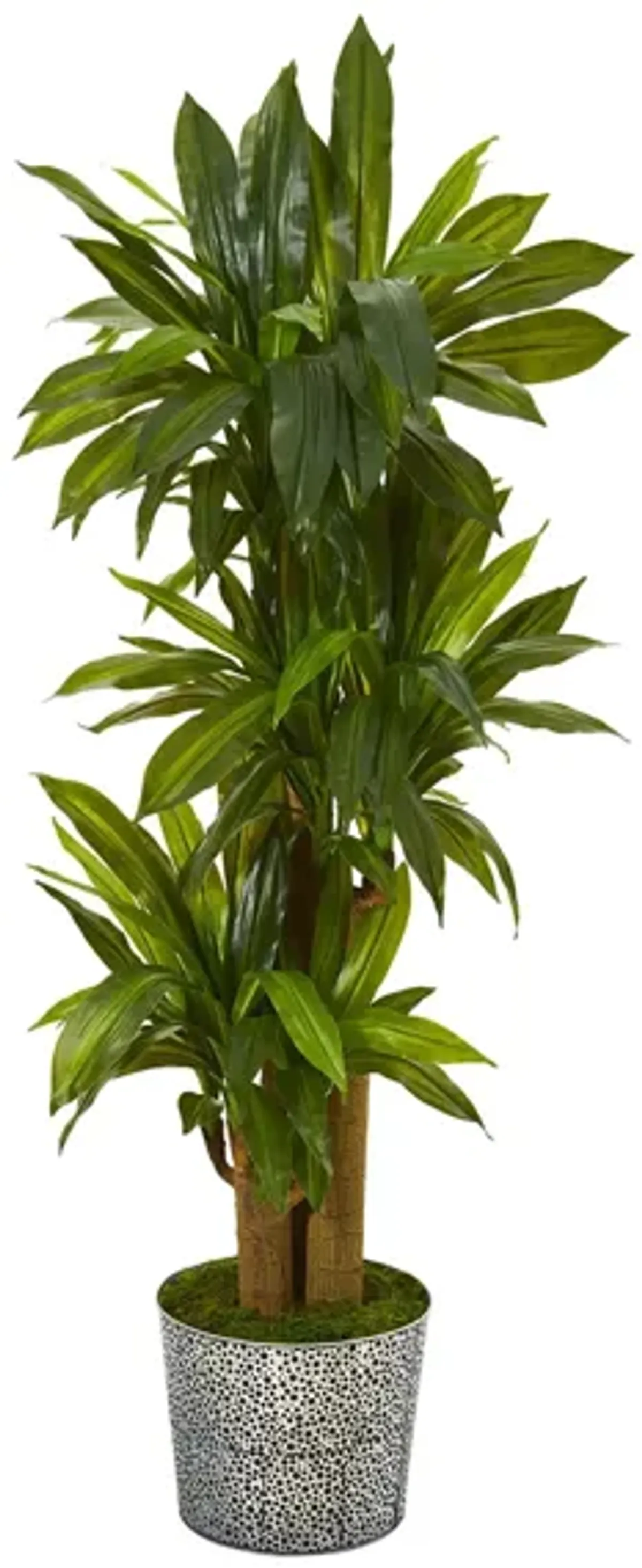 Corn Stalk Dracaena Artificial Plant in Black Embossed Tin Planter in Green by Bellanest