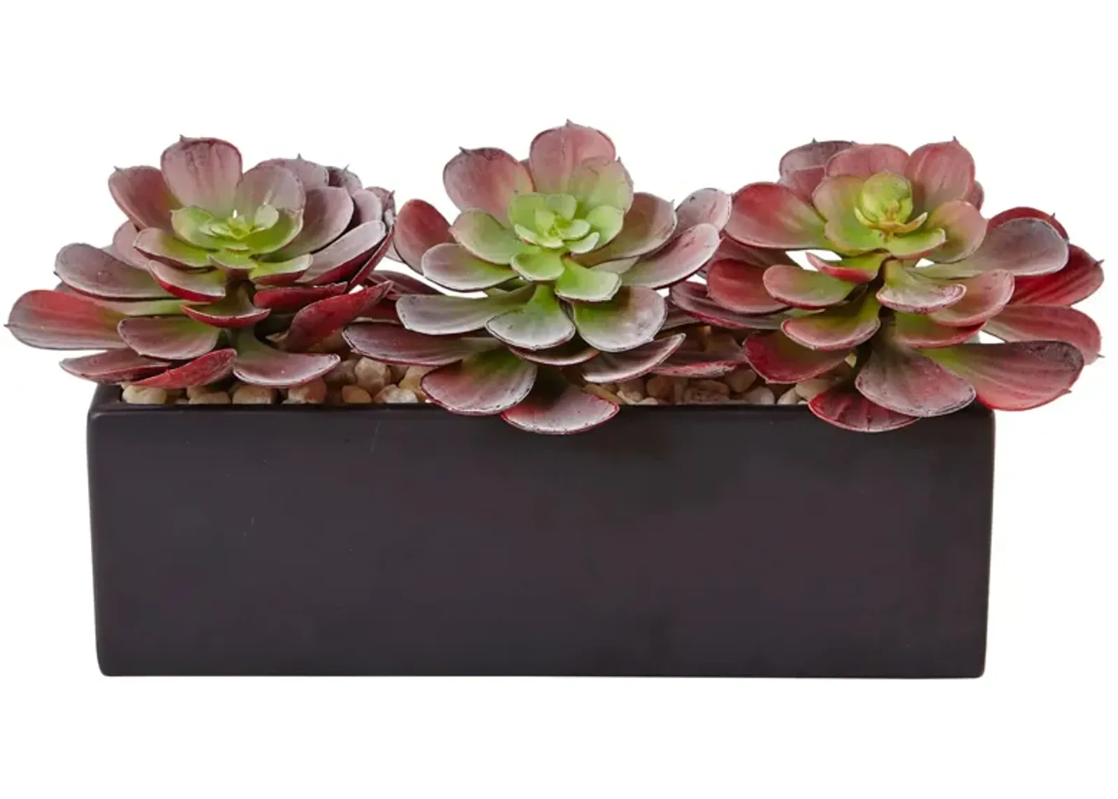 Mini Echeveria Artificial Succulent in Rectangular Planter in Green