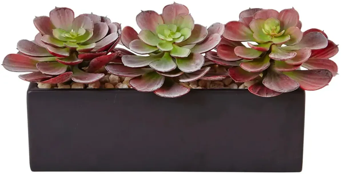 Mini Echeveria Artificial Succulent in Rectangular Planter in Green