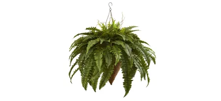 Giant Boston Fern with Cone Hanging Basket in Green by Bellanest