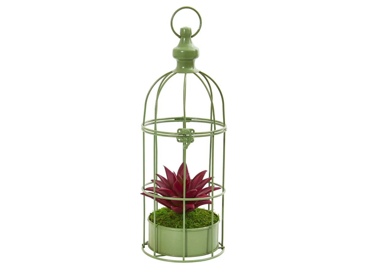 Succulent Artificial Plant in Decorative Cage in Burgundy by Bellanest