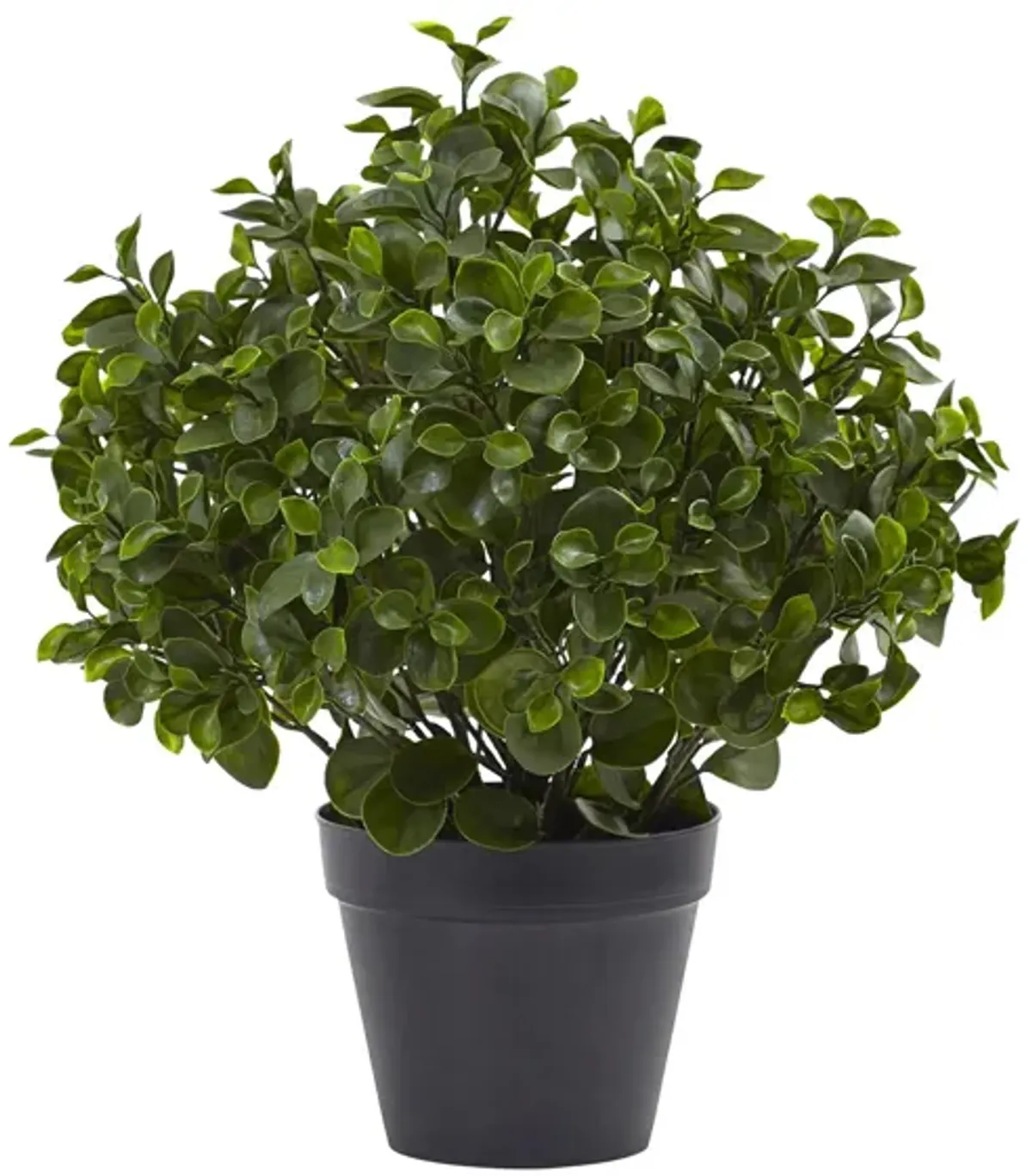 Peperomia Plant UV Resistant (Indoor/Outdoor) in Green by Bellanest