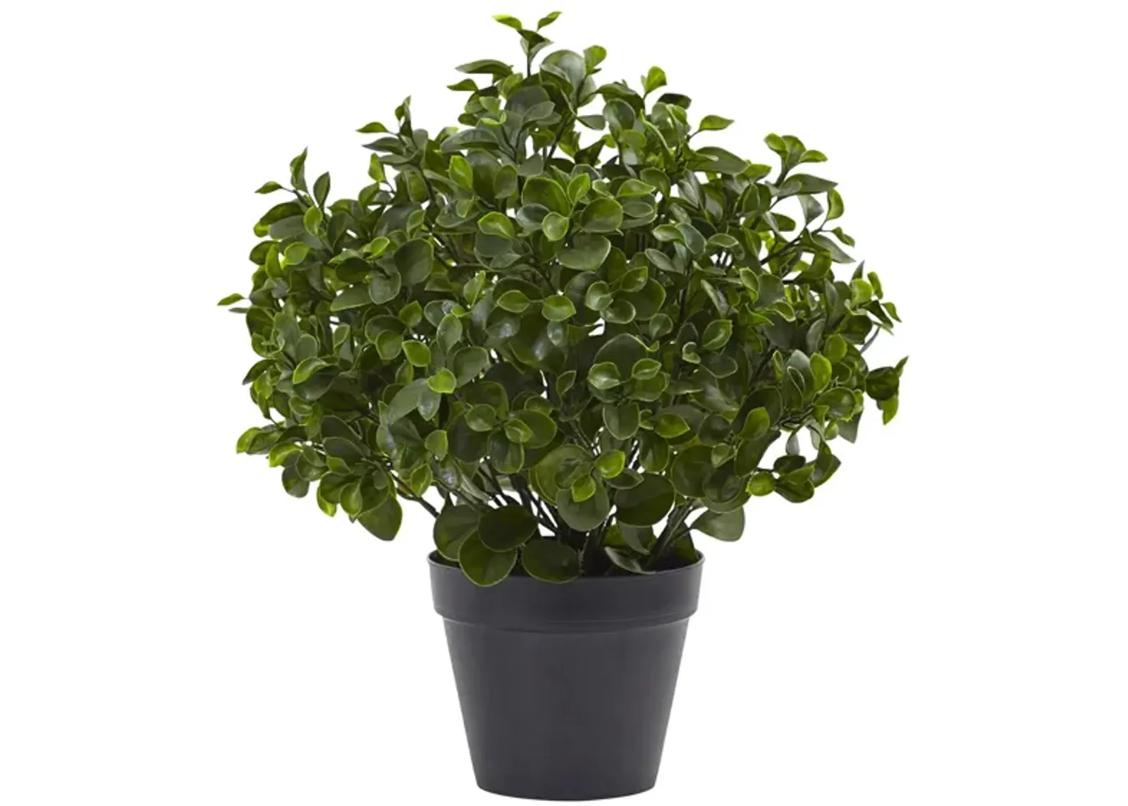 Peperomia Plant UV Resistant (Indoor/Outdoor) in Green by Bellanest