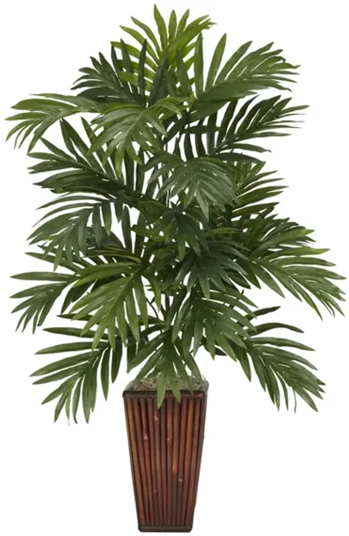 Areca Palm with Bamboo Vase in Green by Bellanest