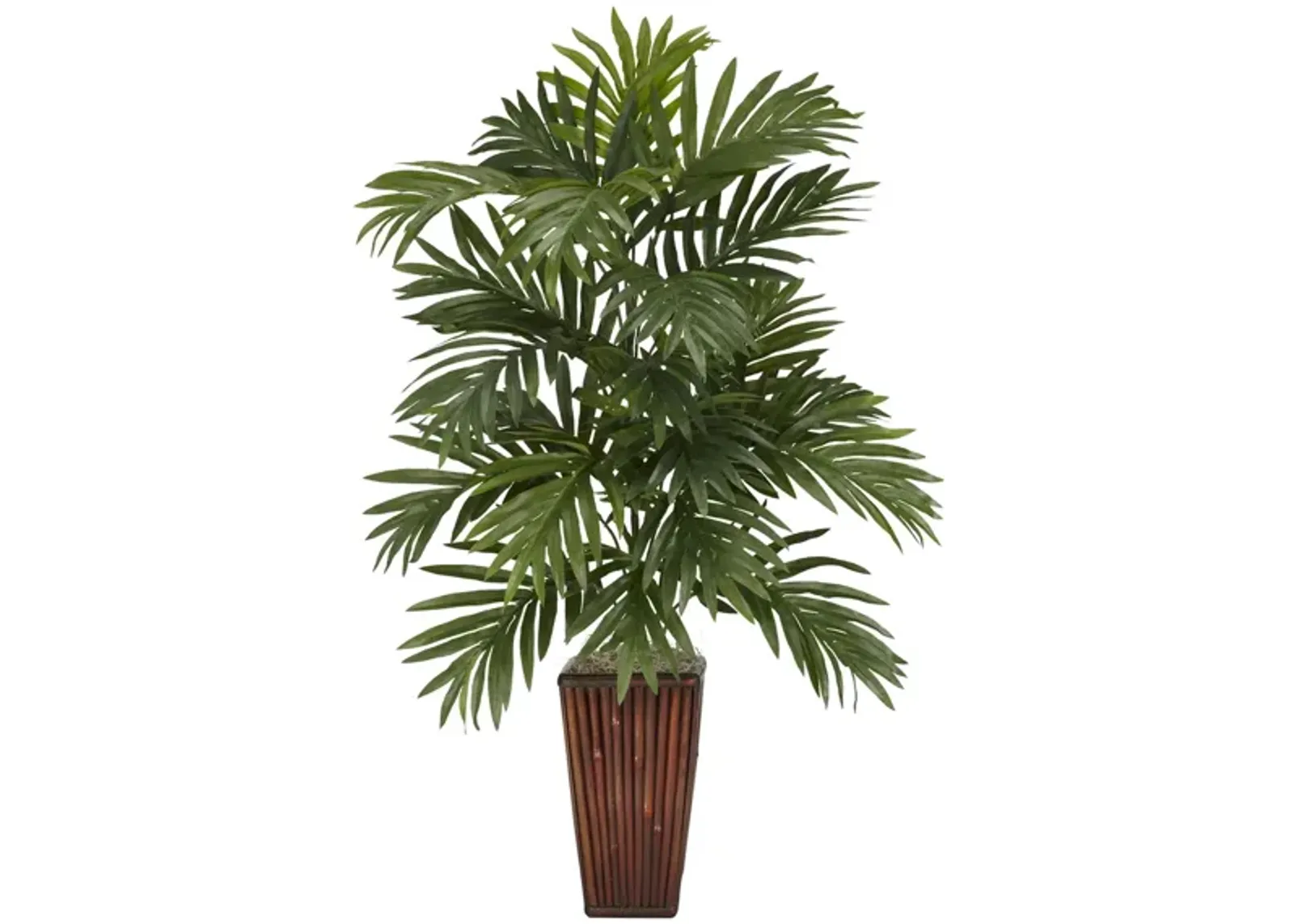 Areca Palm with Bamboo Vase in Green by Bellanest