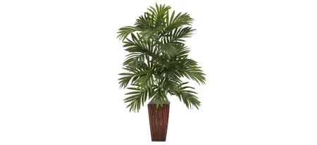 Areca Palm with Bamboo Vase in Green by Bellanest