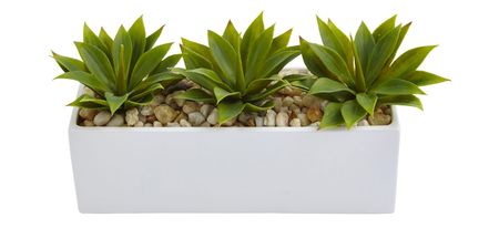 Agave Succulent in Rectangular Planter in Green by Bellanest