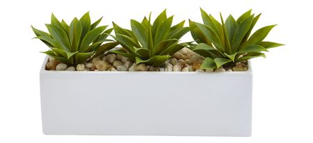 Agave Succulent in Rectangular Planter in Green by Bellanest