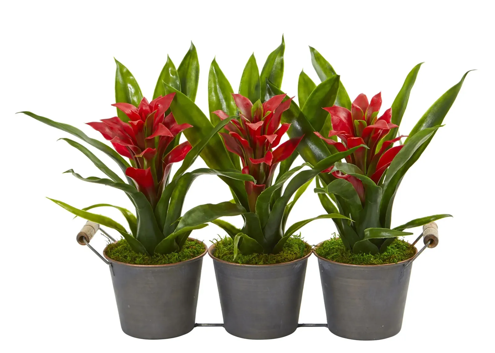 Triple Potted Bromeliad Artificial Plant in Decorative Planter in Red by Bellanest