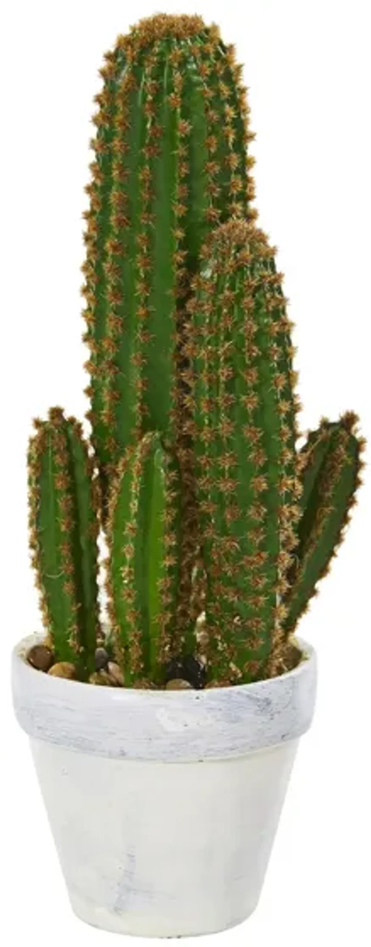 Cactus Succulent Artificial Plant in Green