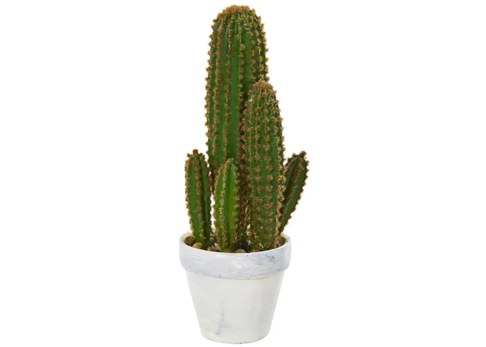 Cactus Succulent Artificial Plant in Green