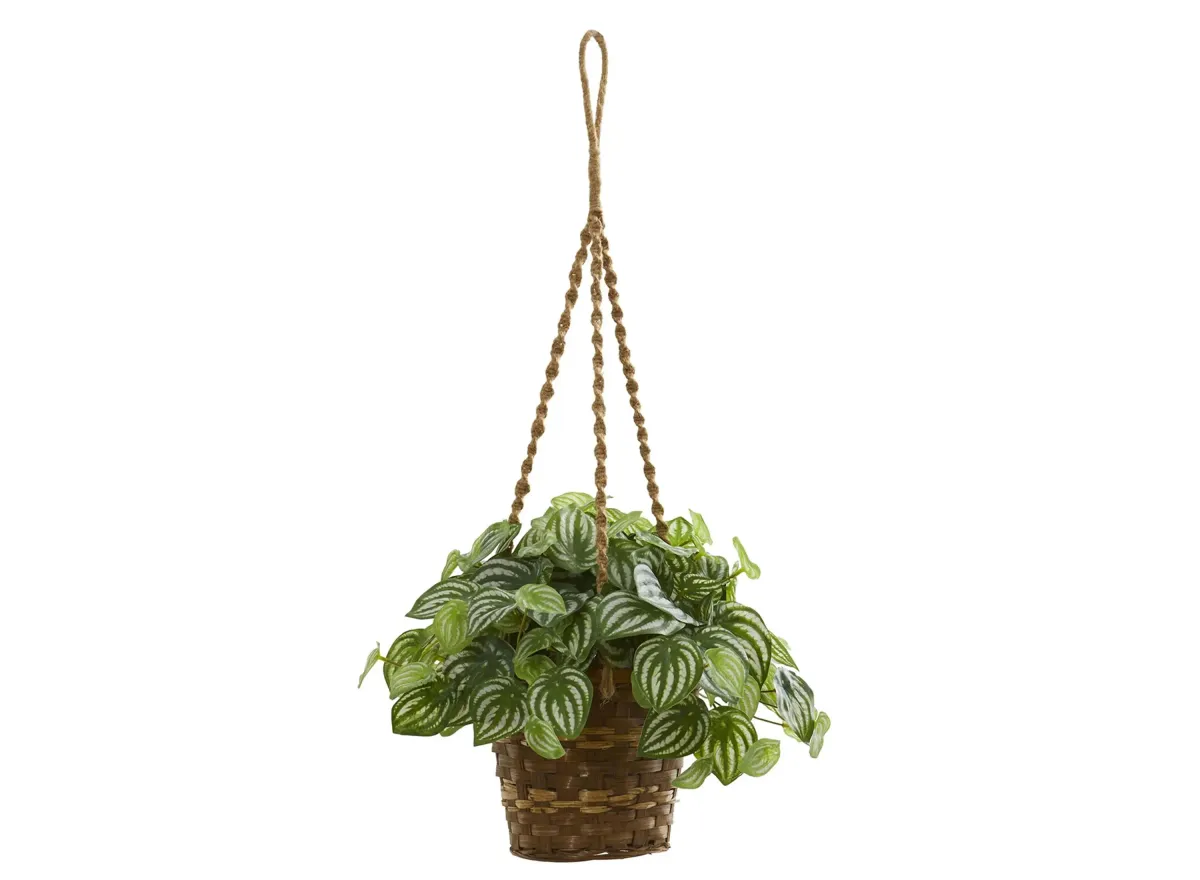 Watermelon Peperomia Artificial Plant in Hanging Basket in Green by Bellanest