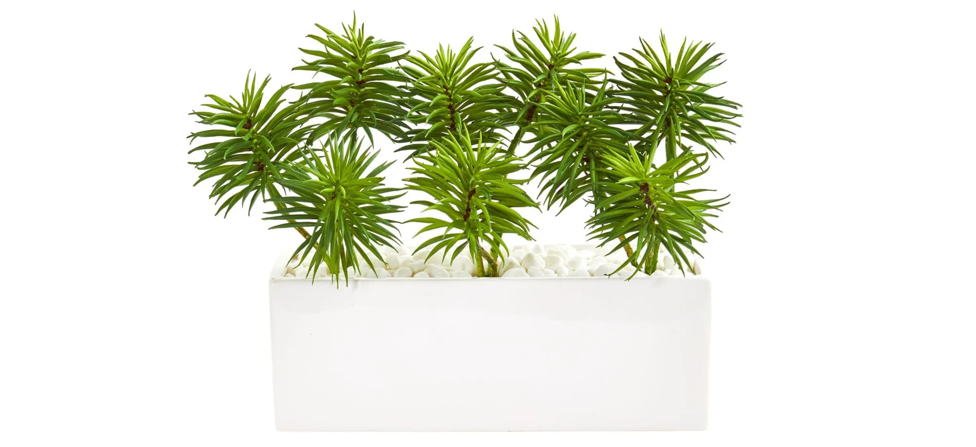 Spiky Succulent Garden Artificial Plant in White Ceramic Vase in Green by Bellanest