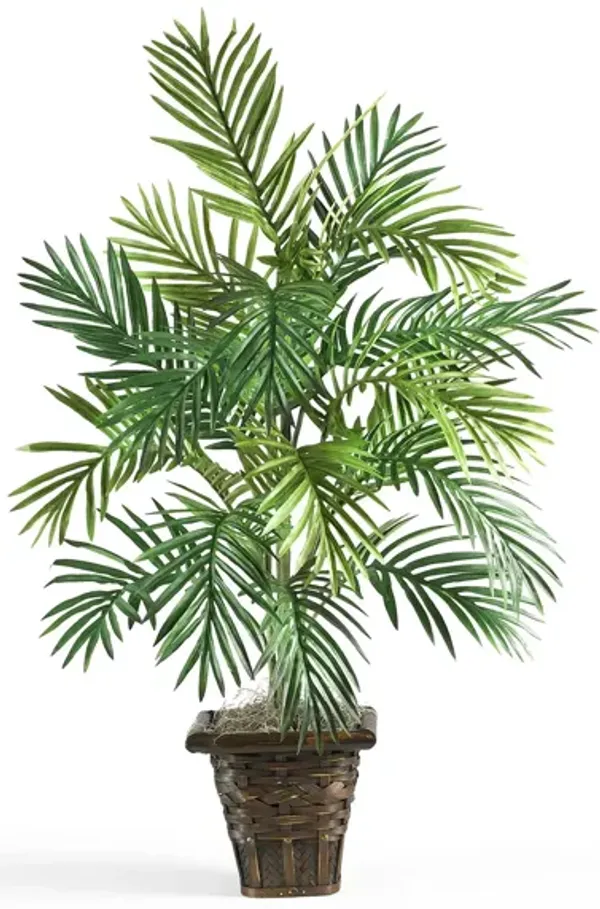 Areca Palm with Wicker Basket