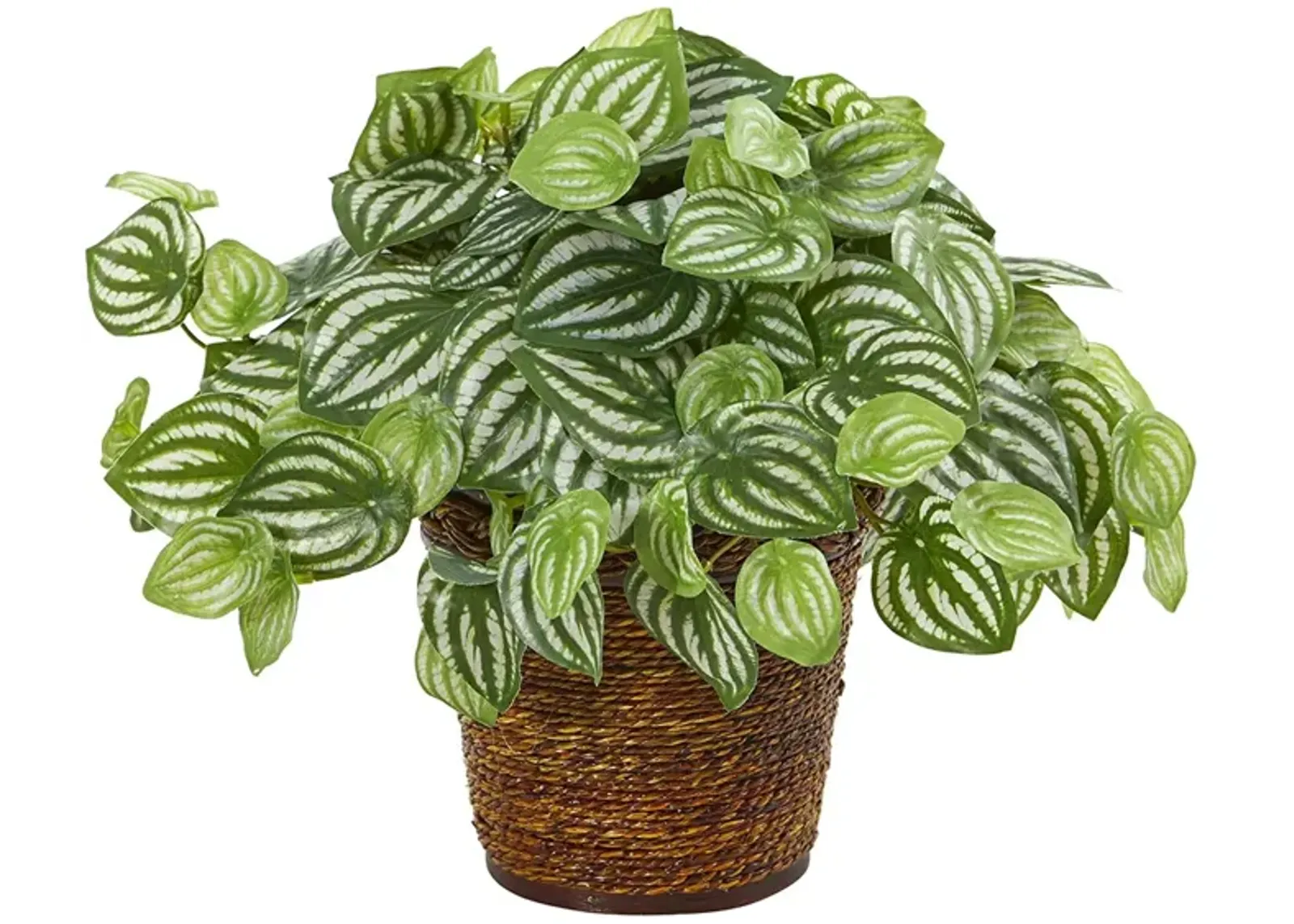 Watermelon Peperomia Artificial Plant in Basket in Green by Bellanest